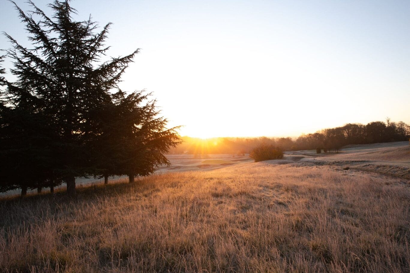 golf course in the winter