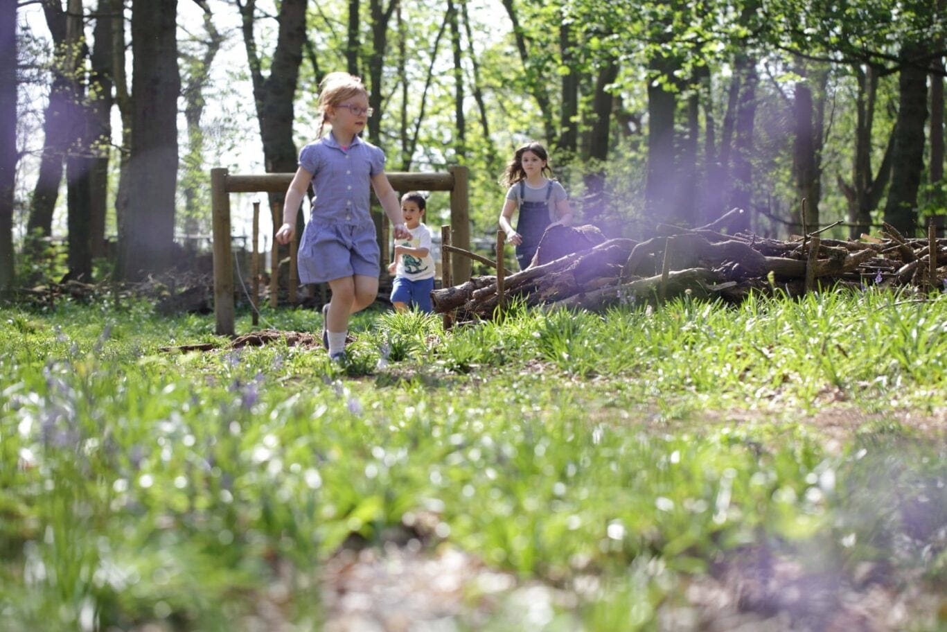 children playing in the forest