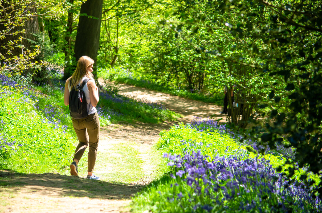 Woman walking through bluebells in woodland