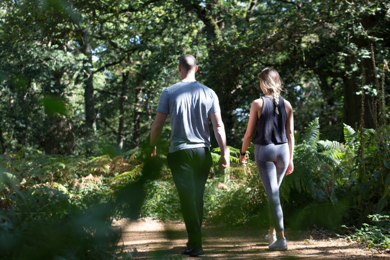 walking. Great Big Walk for Herts