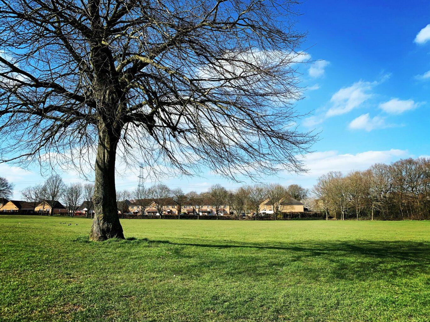 Great Big Walk for Herts: Hertfordshire