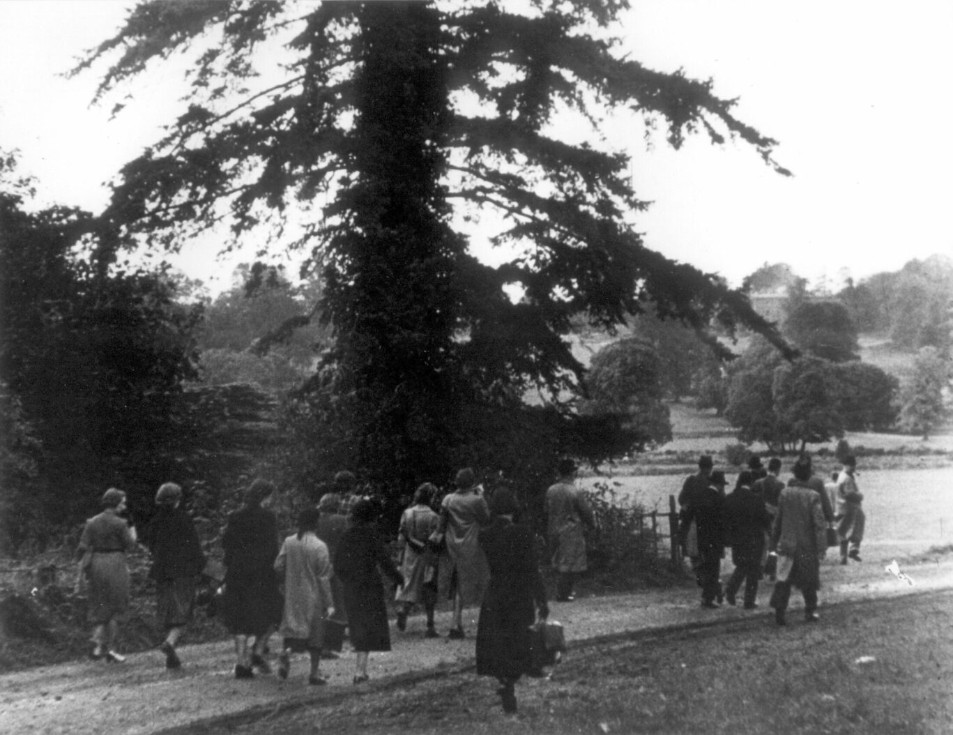 Group Walking