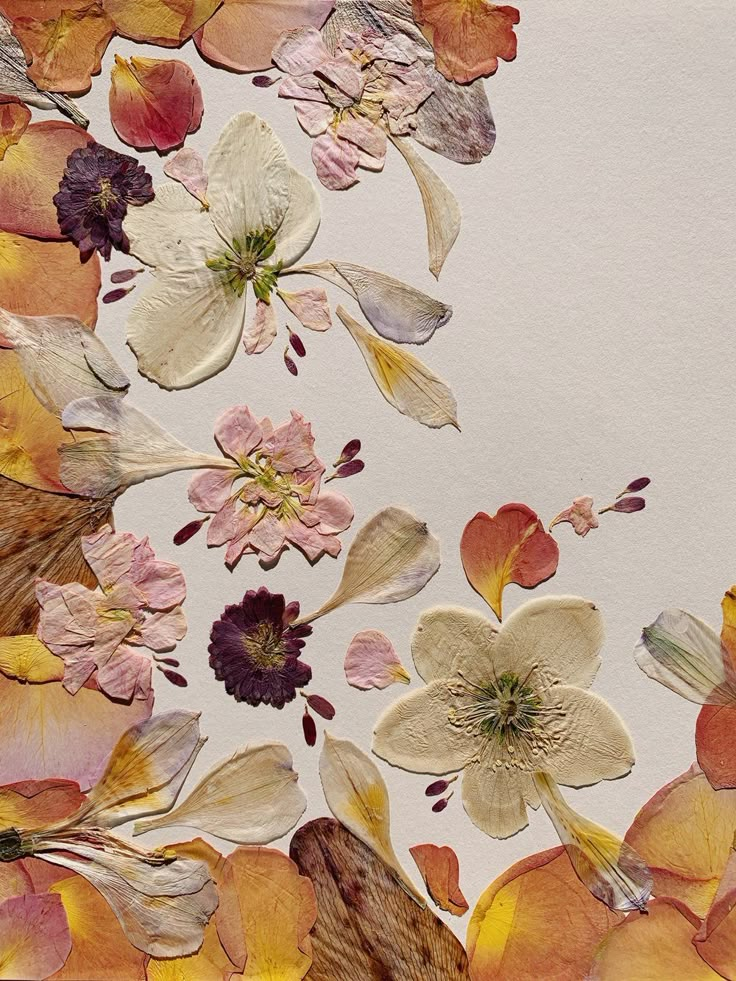 Pressed Flowers