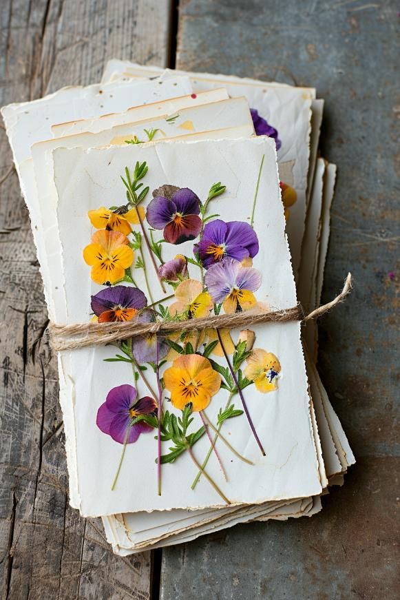 Pressed Flowers